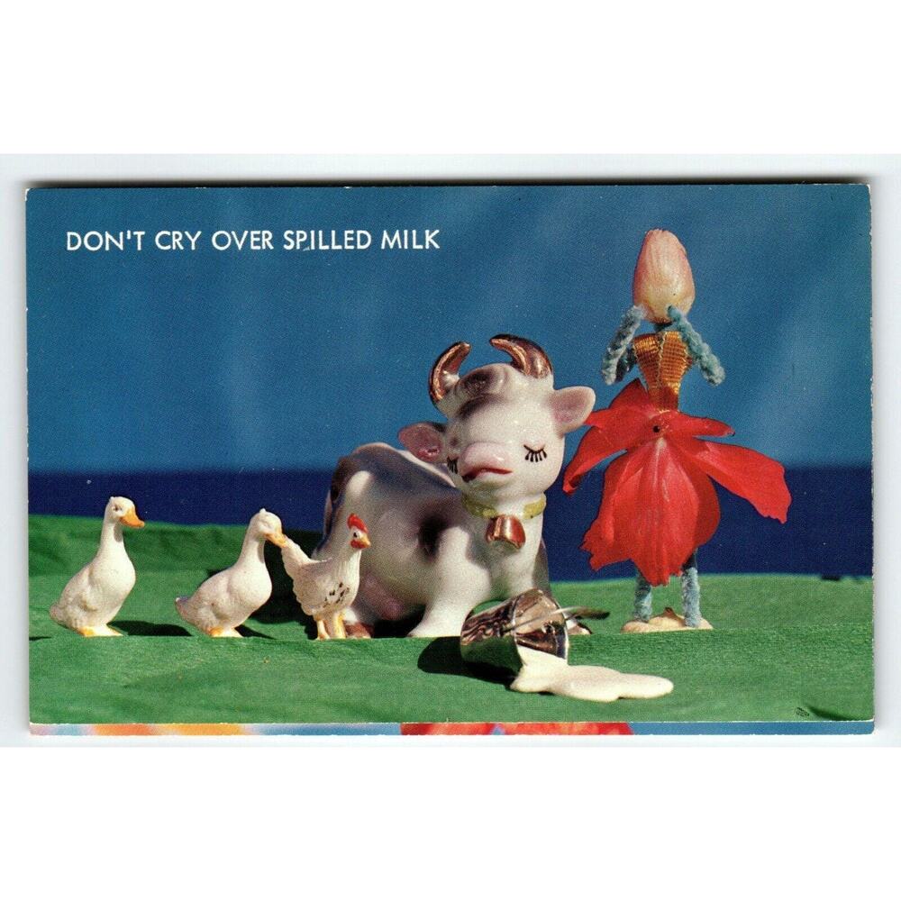 Don't Cry Over Spilled Milk Comical Postcard Cow Ducks Weird Flower Person Luce